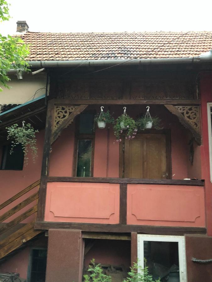 Cezara Appartement Mediaş Buitenkant foto