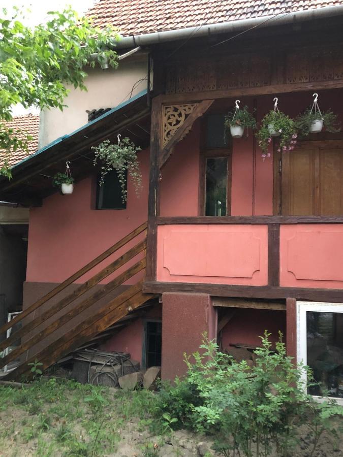 Cezara Appartement Mediaş Buitenkant foto